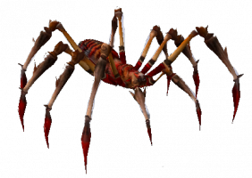 Kırmızı Zehirli Örümcek